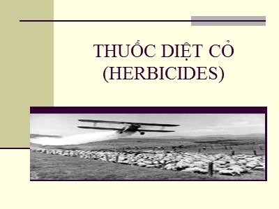 Bài giảng Thuốc diệt cỏ (Herbicides)