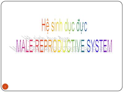 Bài giảng Sinh học đại cương - Bài: Hệ sinh dục đực