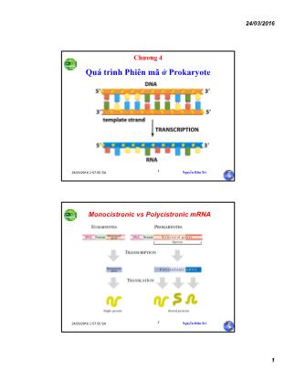 Bài giảng Sinh học phân tử - Chương 4: Quá trình phiên mã ở Prokaryote