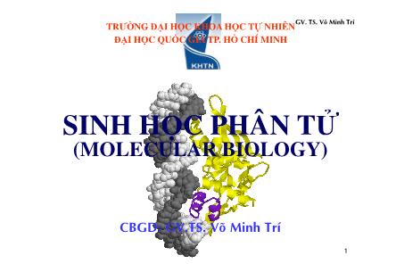 Bài giảng Sinh học phân tử - Võ Minh Trí