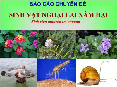 Báo cáo chuyên đề Sinh vật ngoại lai xâm hại - Nguyễn Thị Phương