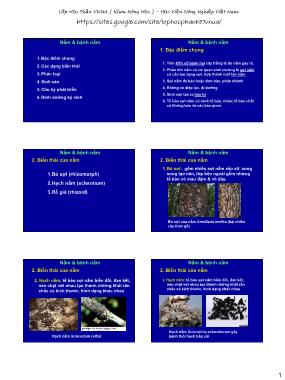 Bài giảng Bệnh cây đại cương - Bài 4: Nấm & bệnh nấm - Học viện Nông nghiệp Việt Nam