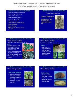 Bài giảng Bệnh cây đại cương - Bài 6: Bệnh nấm hại cây rau, CAQ và CCN - Học viện Nông nghiệp Việt Nam