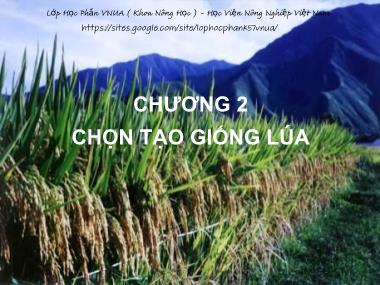 Bài giảng Chọn tạo giống cây trồng - Chương 2: Chọn tạo giống lúa - Học Viện Nông Nghiệp Việt Nam