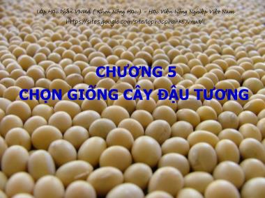 Bài giảng Chọn tạo giống cây trồng - Chương 5: Chọn giống cây đậu tương - Học Viện Nông Nghiệp Việt Nam
