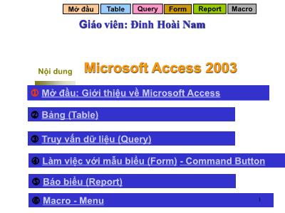 Bài giảng Microsoft Access 2003 - Đinh Hoài Nam
