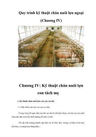Bài giảng Quy trình kỹ thuật chăn nuôi lợn ngoại - Chương IV: Kỹ thuật chăn nuôi lợn con tách mẹ