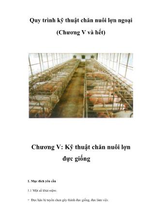 Bài giảng Quy trình kỹ thuật chăn nuôi lợn ngoại - Chương V: Kỹ thuật chăn nuôi lợn đực giống