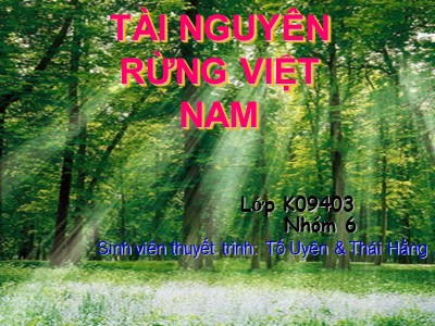 Bài thuyết trình Tài nguyên rừng Việt Nam