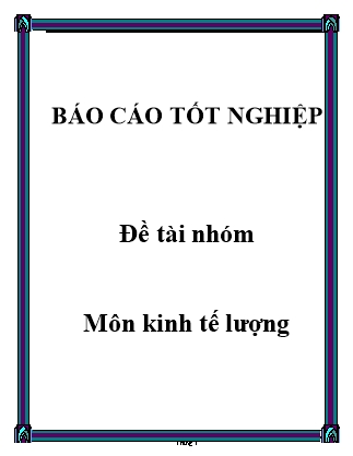 Báo cáo tốt nghiệp môn Kinh tế lượng - Nguyễn Quang Cường