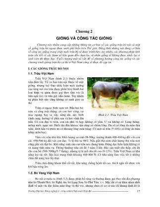 Giáo trình Chăn nuôi trân bò - Chương 2: Giống và công tác giống