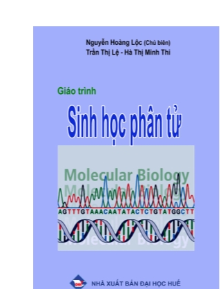 Giáo trình Sinh học phân tử - Nguyễn Hoàng Lộc