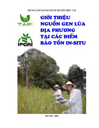 Giới thiệu nguồn gen lúa địa phương tại các điểm bảo tồn In-Situ