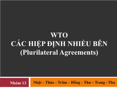 WTO - Các hiệp định nhiều bên