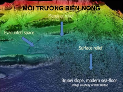 Bài giảng Địa chất biển đại cương - Phần 4: Các môi trường trầm tích ven bờ