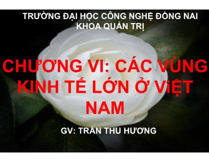 Bài giảng Địa lý kinh tế Việt Nam - Chương VI: Các vùng kinh tế lớn ở Việt Nam - Trần Thu Hương