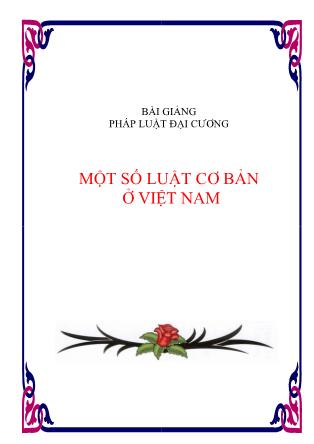 Bài giảng Pháp luật đại cương - Một số luật cơ bản ở Việt Nam