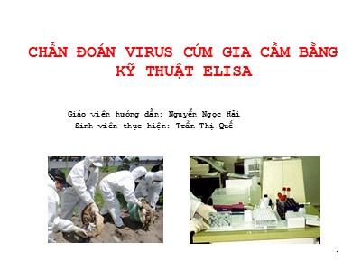 Báo cáo đề tài Chẩn đoán virus cúm gia cầm bằng kỹ thuật Elisa - Trần Thị Quế