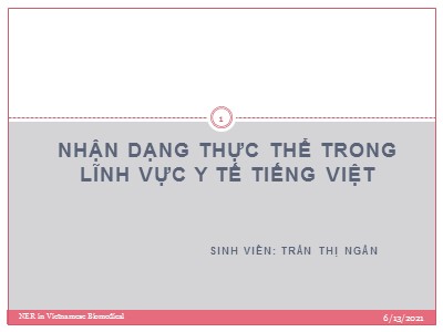 Đề tài Nhận dạng thực thể trong lĩnh vực y tế tiếng Việt - Trần Thị Ngân
