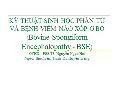 Tiểu luận Kỹ thuật sinh học phân tử và bệnh viêm não xốp ở bò - Trịnh Thị Huyền Trang