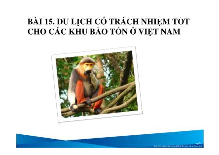 Bài giảng Du lịch có trách nhiệm - Bài 15: Du lịch có trách nhiệm tốt cho các khu bảo tồn ở Việt Nam