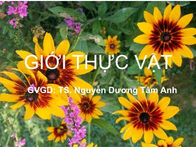 Bài giảng Giới thực vật - Nguyễn Dương Tâm Anh