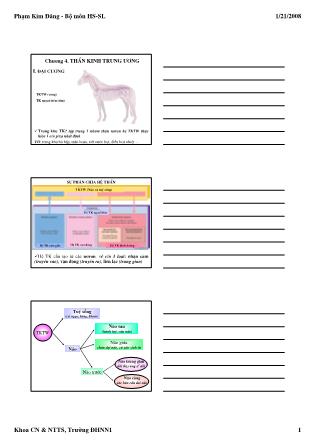 Bài giảng Hoá sinh - Sinh lý động vật - Chương 4: Thần kinh trung ương