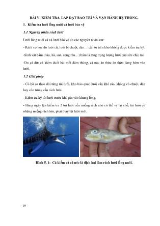Bài giảng Quy trình vận hành trại nuôi cá biển (Phần 2)