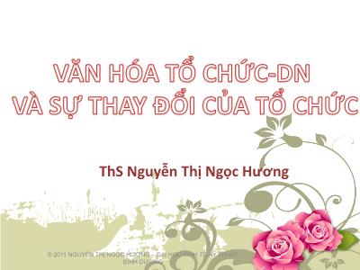 Bài giảng Văn hóa tổ chức doanh nghiệp và sự thay đổi của tổ chức - Nguyễn Thị Ngọc Hương