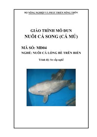 Giáo trình mô đun Nuôi cá song (Cá mú)