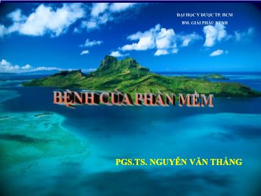 Bài giảng Bệnh của phần mềm - Nguyễn Văn Thắng