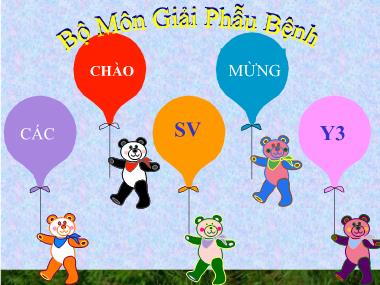 Bài giảng Bệnh học - Bài 1: Mở đầu - Hứa Thị Ngọc Hà