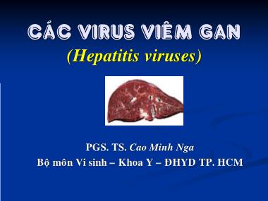 Bài giảng Các virus viêm gan - Cao Minh Nga