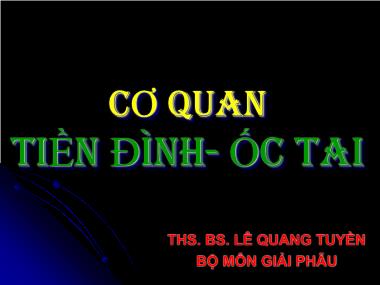 Bài giảng Cơ quan tiền đình - Ốc tai - Lê Quang Tuyền
