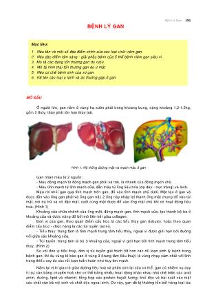 Bài giảng lý thuyết Giải phẫu bệnh (Phần 2)