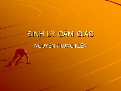 Bài giảng Sinh lý cảm giác - Nguyễn Trung Kiên