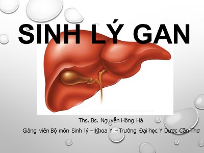 Bài giảng Sinh lý gan - Nguyễn Hồng Hà