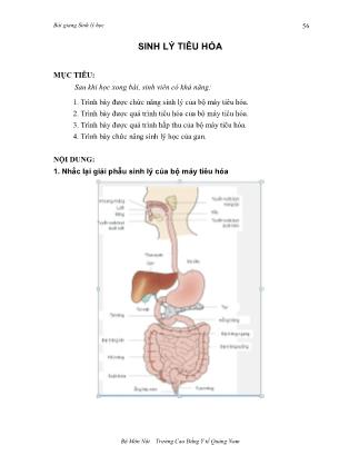 Bài giảng Sinh lý học - Chương: Sinh lý tiêu hóa