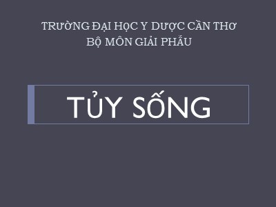Bài giảng Tủy sống