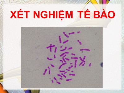 Bài giảng Xét nghiệm tế bào
