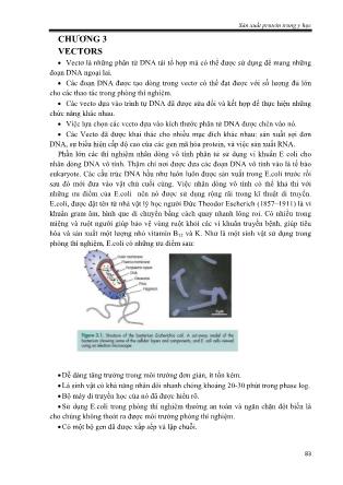 Sản xuất protein trong y học (Phần 2)