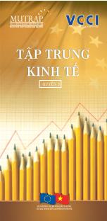 Tập trung kinh tế - Quyển 3