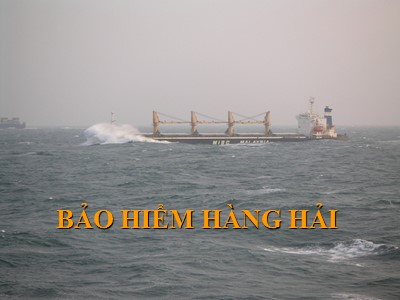 Bài giảng Bảo hiểm hàng hải - Chương 1: Đại cương về bảo hiểm