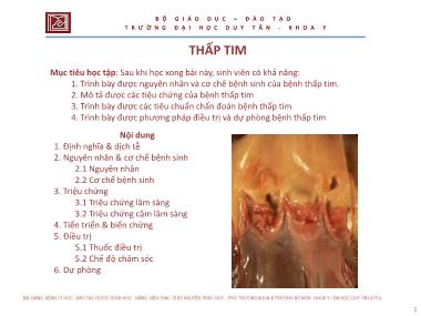 Bài giảng Bệnh lý học - Chương 3.4: Thấp tim - Nguyễn Phúc Học