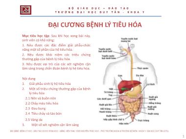 Bài giảng Bệnh lý học - Chương 4: Đại cương bệnh lý tiêu hóa - Nguyễn Phúc Học