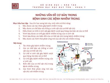 Bài giảng Bệnh lý học - Chương 8: Những vấn đề cơ bản trong bệnh sinh các bệnh nhiễm trùng - Nguyễn Phúc Học
