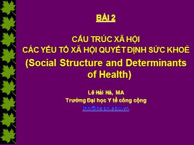 Bài giảng Công tác xã hội trong lĩnh vực y tế cộng đồng - Bài 2: Cấu trúc xã hội các yếu tố xã hội quyết định sức khoẻ