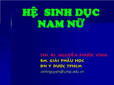 Bài giảng Giải phẫu học - Chương: Hệ sinh dục nam nữ - Nguyễn Phước Vinh