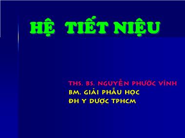 Bài giảng Giải phẫu học - Chương: Hệ tiết liệu - Nguyễn Phước Vinh
