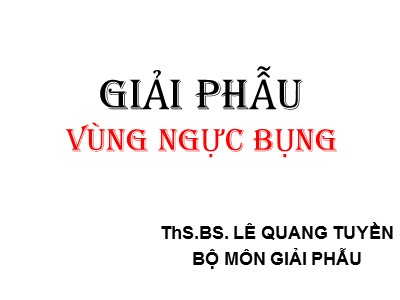 Bài giảng Giải phẫu vùng ngực bụng - Lê Quang Tuyền